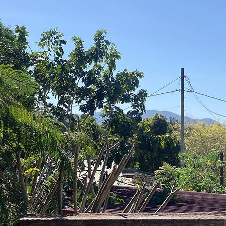 Appartamento Potters Warehouse Bellingen Esterno foto