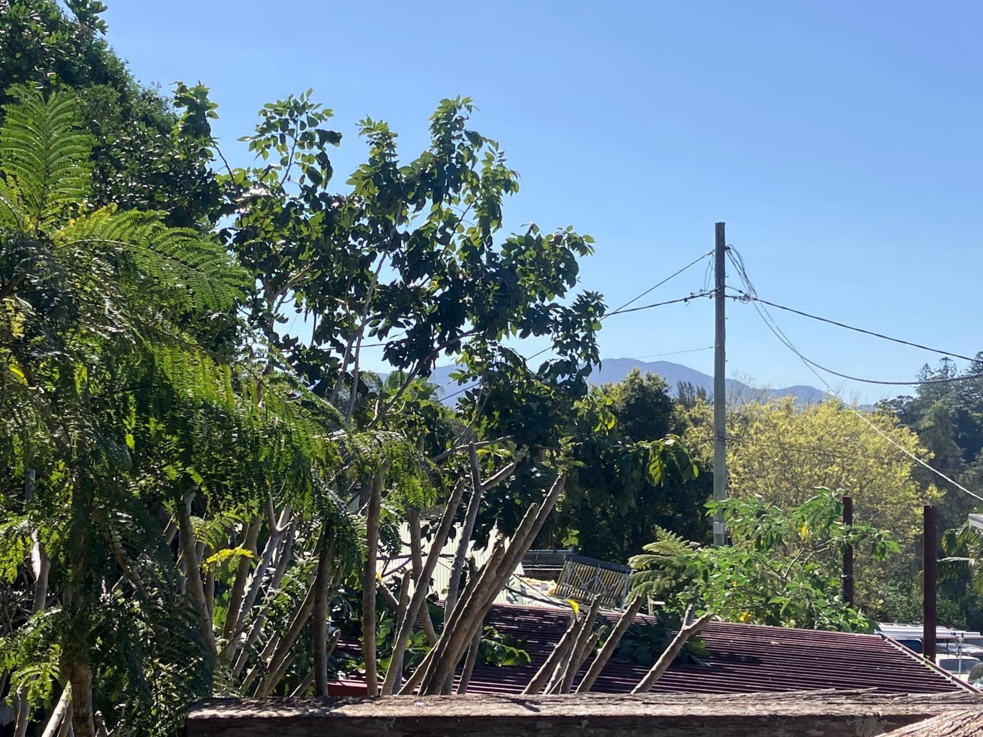 Appartamento Potters Warehouse Bellingen Esterno foto
